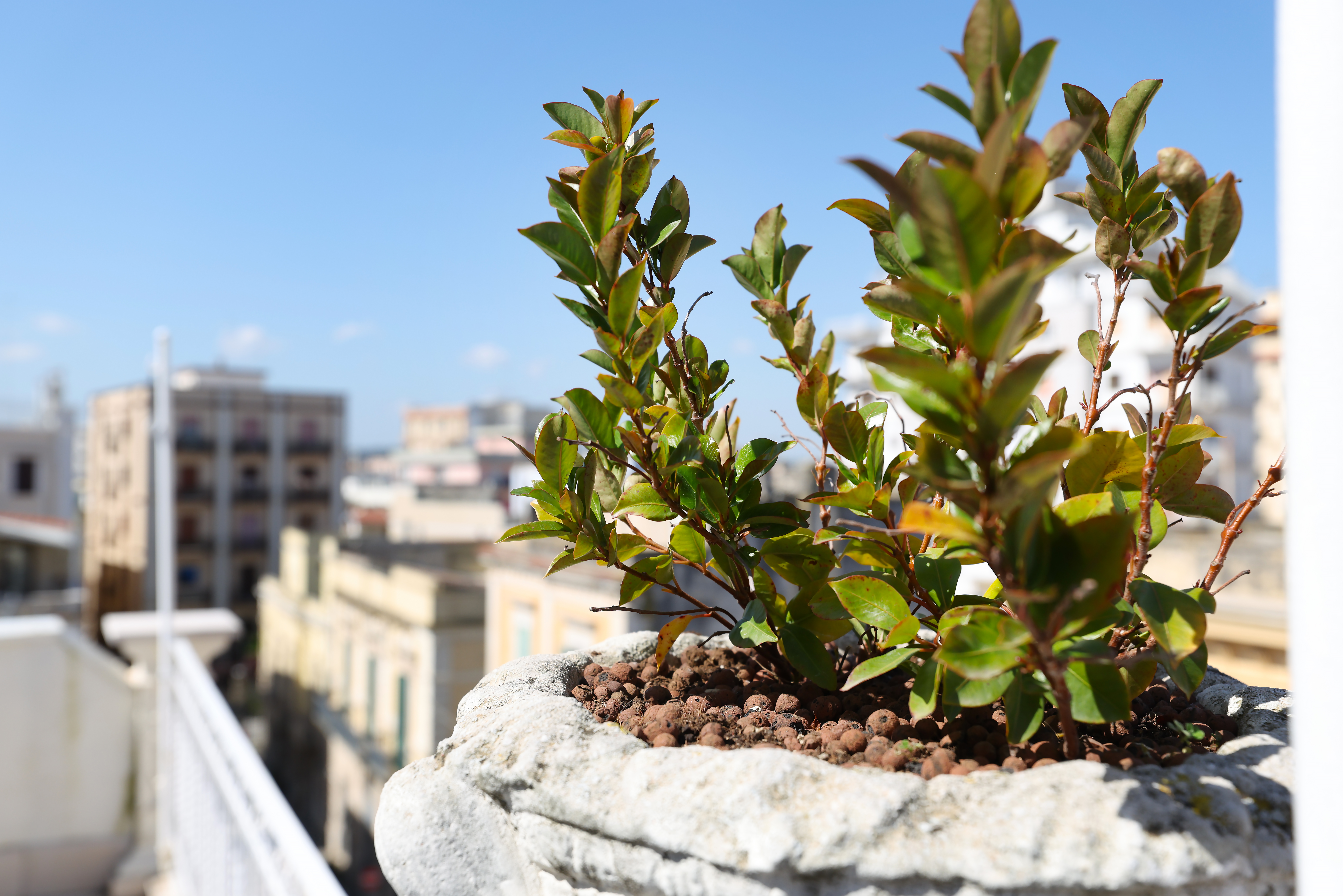 Esterno del B&B A Due Passi Da – vista 1